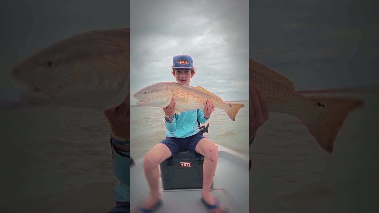 Little teaser before the video drop #fishing #reds #ocean #boat #fyp @NorthIslandFishingCharters