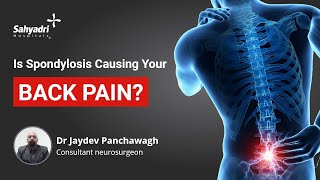 What's causing your back pain? | Causes of Spondylosis | Spinal pain | Dr Jaydev Panchwagh, Sahyadri