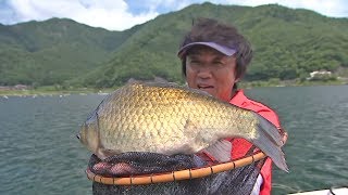 【いつでも釣り気分！】#256 夏のへらぶな釣り 新世代の硬式先調子と尺設定が新時代を切り拓く