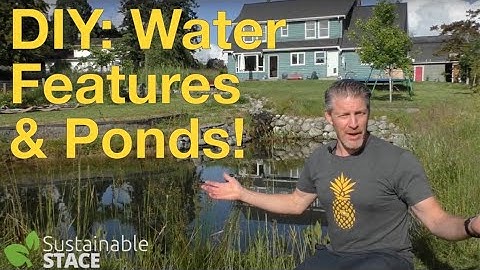 DIY: Water Features & Ponds