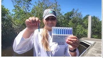 Estuarine Education: Water Quality 101