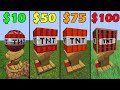 minecraft for 10$ vs $25 vs 50$ vs 75$ vs 100$