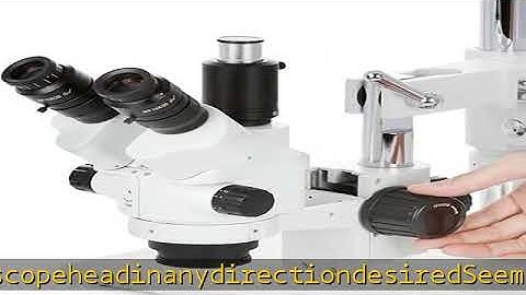 AmScope - SM-4NTP 7X-45X Simul-Focal Stereo Lockable Zoom Microscope on Dual Arm Boom Stand