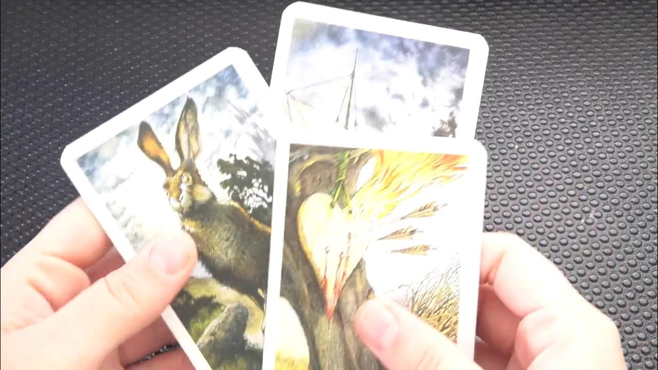 Таро дня ютуб. Таро дня ютуб