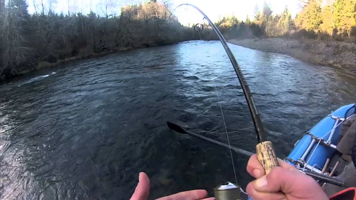 Another Early Season Chrome Steelhead With Greg Sp...