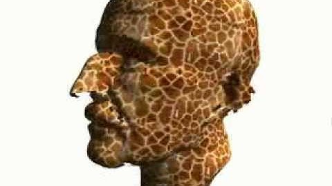 Efficient Texture Mapping by Homogeneous Patch Discovery