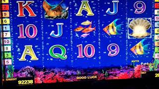 Dolphins Pearl Deluxe! #2 Euro Bet ! #slot machine!#Freispiele! #novoline !#BigWin!#Admiral #Amazing