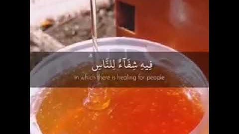 حالات واتساب دينية || القارئ هزاع البلوشي || و أوحي ربك الي النحل