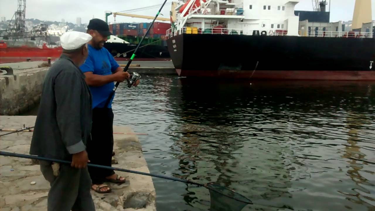 Pêche a la dorade port d'Alger 6