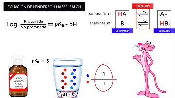 ¿Cuál es la relación entre el pH y la absorción?