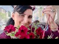 сГесГФсГЧсГШ сГФсГТсГШсГУсГгсГЬсГРсГисГХсГШсГЪсГШ тАв сГРсГвсГЫсГШсГб сГосГФсГФсГСсГШ сГбсГвсГгсГУсГШсГгсГасГШ сГесГФсГЧсГШ сГФсГТсГШсГУсГгсГЬсГРсГисГХсГШсГЪсГШ тАв сГРсГвсГЫсГШсГб сГосГФсГФсГСсГШ сГбсГвсГгсГУсГШсГгсГасГШ