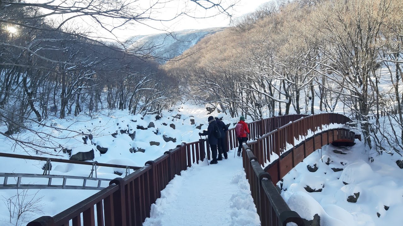 Hiking the Hallasan in Winter, Eorimok Trail