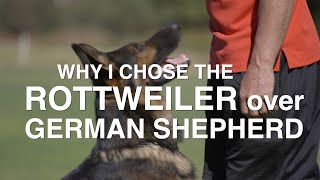 WHY I CHOSE THE ROTTWEILER OVER THE GERMAN SHEPHERD