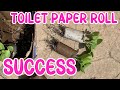 Garden ideas how seed starting in toilet paper rolls works great for backyard gardening garden