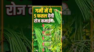 🔥 गर्मी में ये 5 फसलें = डबल कमाई 💰 #shorts #farming