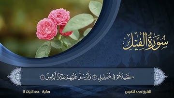 105   سورة الفيل   الشيخ أحمد النفيس