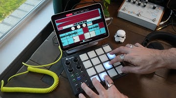 The Best Beatmakers Mobile Production App: Koala and TempoPAD P16 Beginner