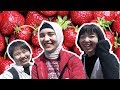 Strawberry Eating Competition With My Japanese Colleagues | Hamamatsu イチゴ狩り