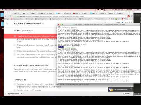 Video Demo CLI GEM For Flatiron: Stay Relevant