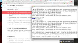 Video Demo CLI GEM For Flatiron: Stay Relevant Profile