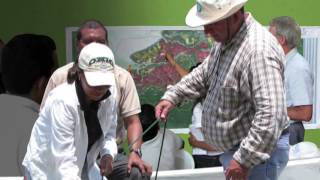 Climate-Smart Agriculture in Action: Africa, Asia and Latin America