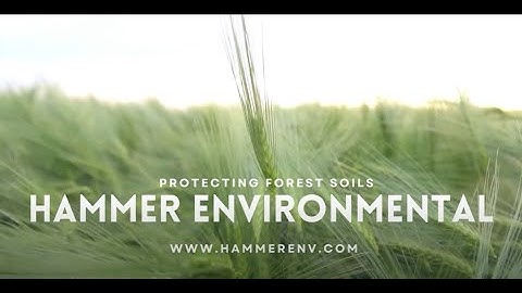 Hammer Environmental - Protecting Forest Soils