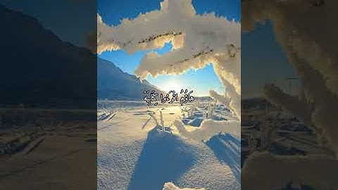 واتس اب قران كريم القارئ ياسر الدوسري من سورة (الحاقة)