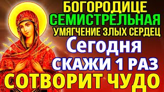 Скажи 1 Раз И Сотворит Чудо Молитва Богородице Семистрельная Умягчение Злых Сердец Канон