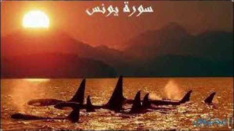 تدبر سورة يونس صفحة 208