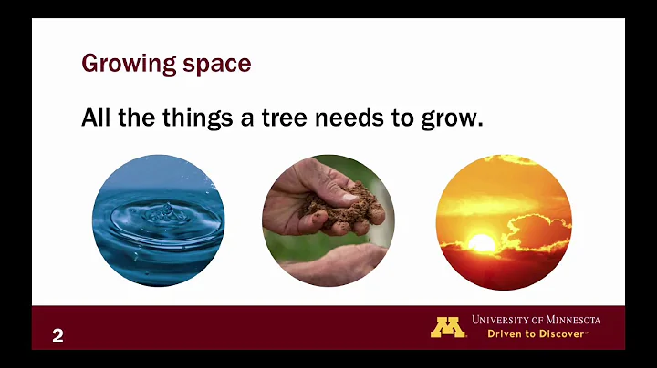 Silviculture: Growing Space