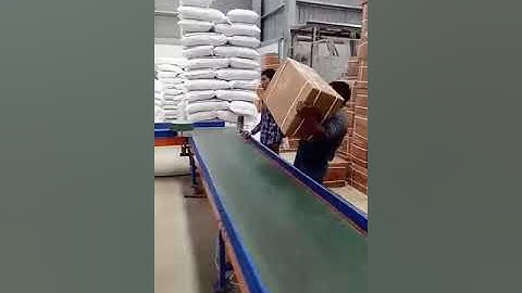 Truck loader,Horizontal,warehouse conveyor systems