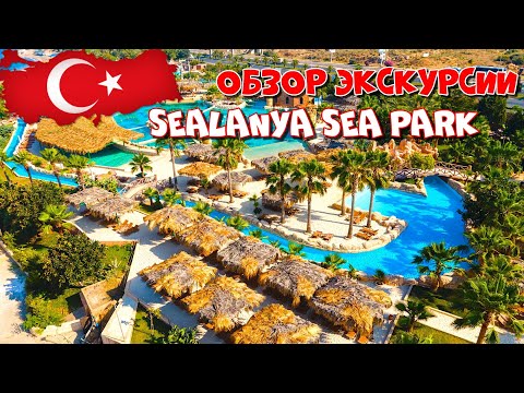 Обзор SEALANYA Sea Park! Стоит ехать или нет? Экскурсия для семьи в Турции! Скаты! Дельфины! Рыбки!