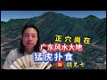 广东风水大地猛虎扑食 胡兑七留题 正穴尚在 分享具体位置 广东风水大地猛虎扑食 胡兑七留题 正穴尚在 分享具体位置