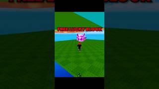😱 HIDDEN SECRET IN KICK A LUCKY BLOCK!!! #roblox #usa