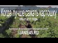 КОГДА ЛУЧШЕ САЖАТЬ КАРТОШКУ