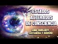 Estados Alterados de Consciencia - Jung, Gurdjieff, Castaneda y Budismo