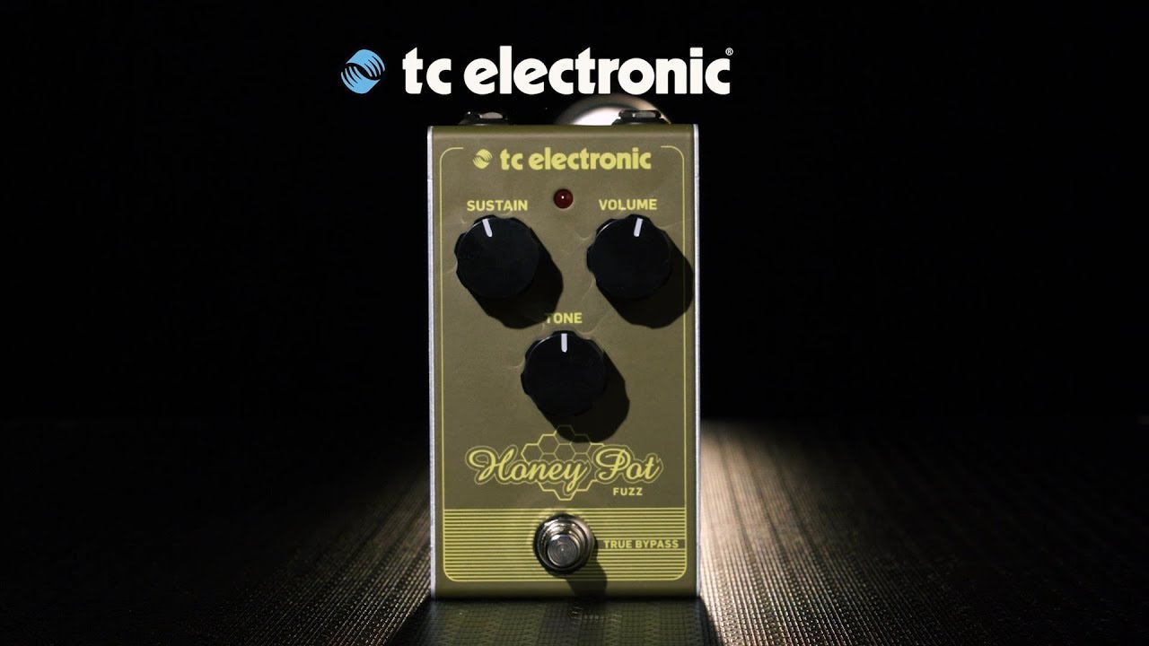 TC Electronic Honey Pot Fuzz Pedal | Gear4music demo - YouTube