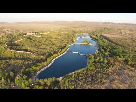 Video: Dezvoltarea și Reforma Sănătății Publice în China Din 1949 Până în