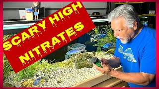 My 5 Best Tips to *LOWER NITRATES!* [Plus 3 PRO *BONUS* TIPS!]