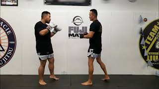 Muay Thai Technique Breakdown: Check and Counter