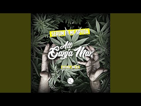 Spyda — All Ganja Man