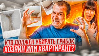 ГРИБОК В ИЗРАИЛЬСКИХ КВАРТИРАХ! КТО ДОЛЖЕН  РЕШАТЬ ЭТУ ПРОБЛЕМУ?