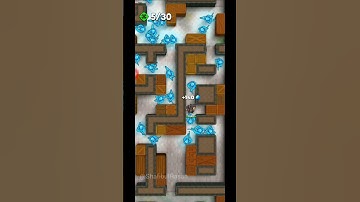 HUNTER ASSASSIN Level 110