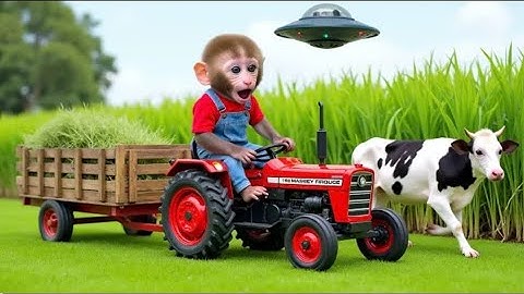 Monkey Nana drives a tractor : from UFO assault to harvesting grass for the herd#Monkey