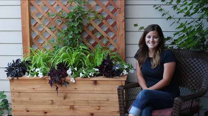 How to Build a Trellis Planter