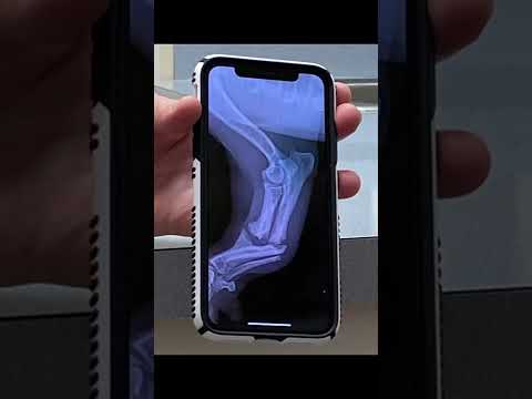 2022 Ink Magazine Modeling Competition