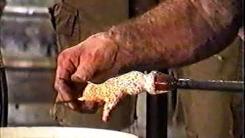 Pilchuck Home Movies #58 Pino Signoretto and Paul ...