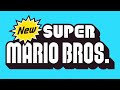 End credits  new super mario bros