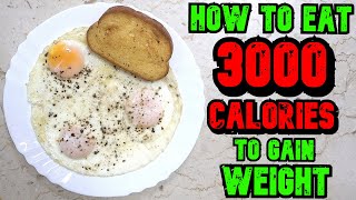 How To Eat 3000 Calories A Day To Gain Weight