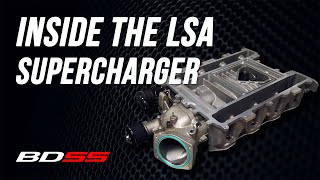 Inside LSA Superchargers I Blackdog Speed Shop